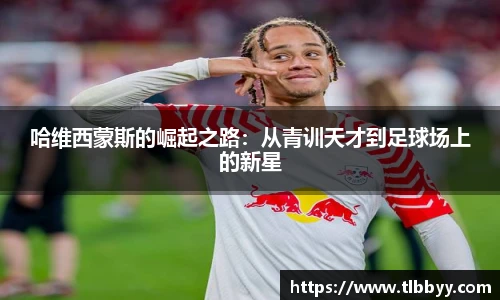 博鱼官网